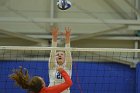 Wheaton Women's Volleyball  Wheaton Women's Volleyball vs Bridgewater State University. : Wheaton, Volleyball, BSU, Bridgewater State College